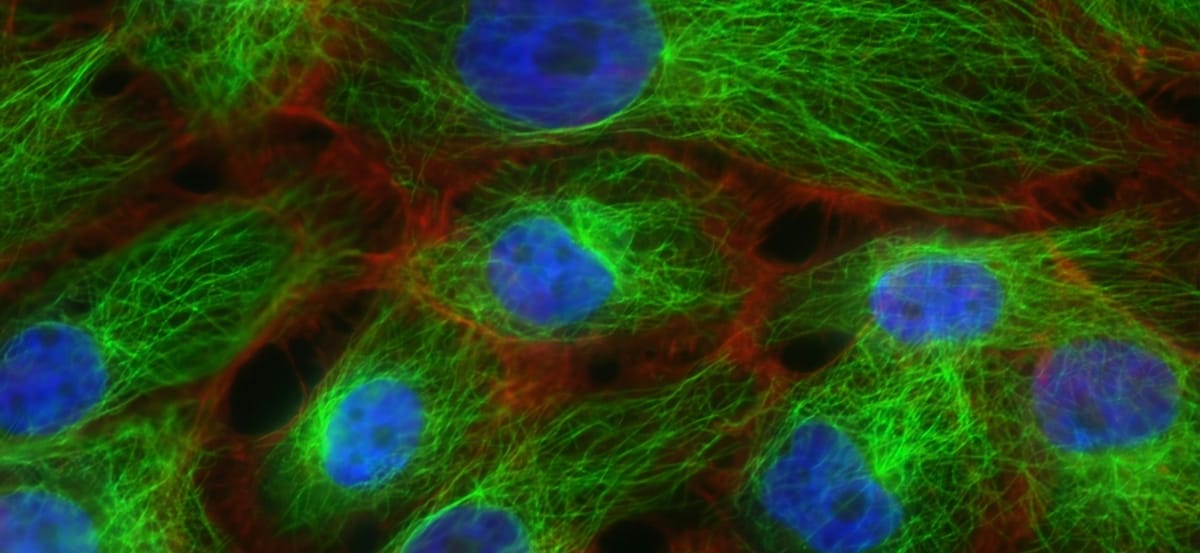 Marketing Science with BigQuery Canvas: A No-Code Approach to Churn Prediction (Part 1)